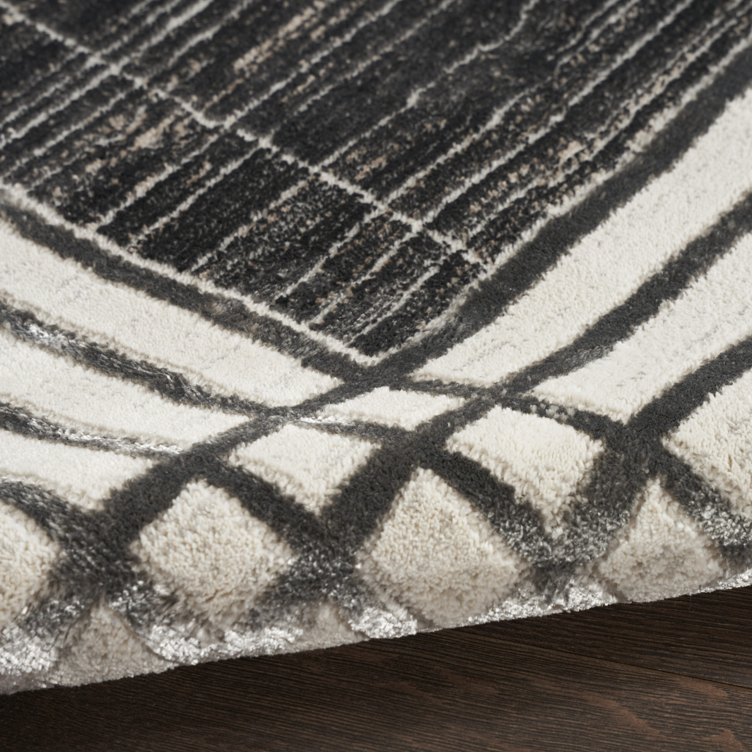 Nourison Desire DSR01 Charcoal Silver Area Rug - Image 3