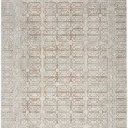 Nourison Desire DSR07 Ivory Beige Area Rug