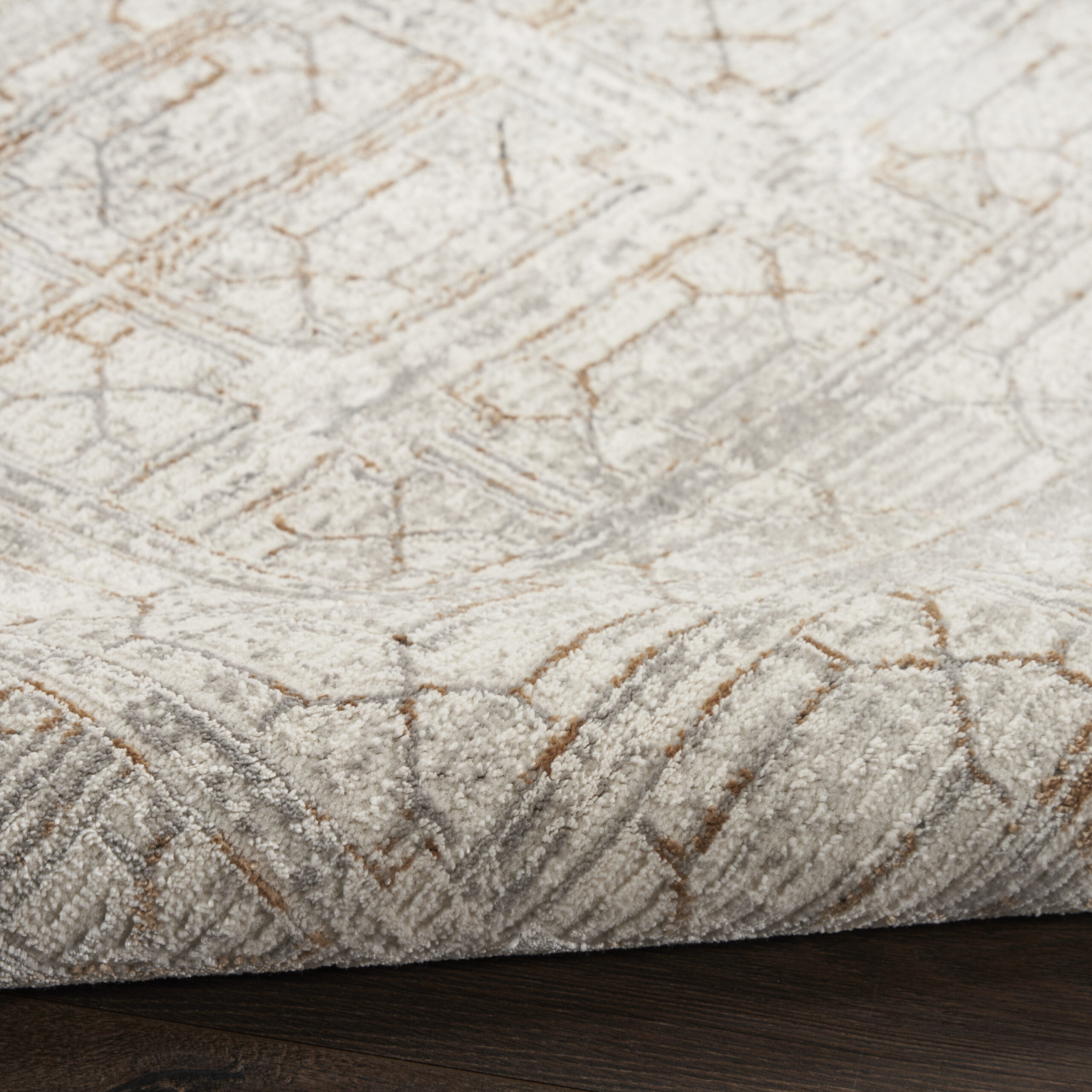 Nourison Desire DSR07 Ivory Beige Area Rug - Image 3