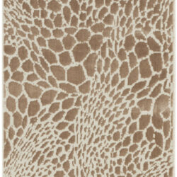 Nourison Desire DSR08 Camel Silver Area Rug