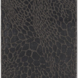 Nourison Desire DSR08 Charcoal Silver Area Rug