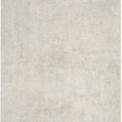 Nourison Envy EVV01 Ivory Grey Area Rug