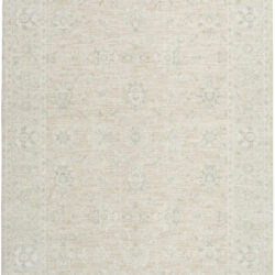 Nourison Envy EVV03 Cream Area Rug