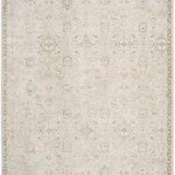 Nourison Envy EVV04 Taupe Area Rug