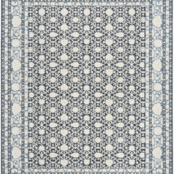 Nourison Grace GCE01 Blue Area Rug