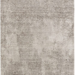 Nourison Harmony HAY06 Silver Grey Area Rug