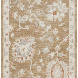 Nourison Infinite IFT04 Mocha Area Rug