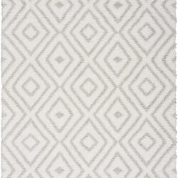 Nourison Modern Shag MMD01 Ivory Silver Area Rug