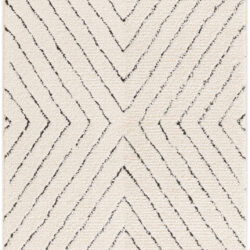 Nourison Modern Comfort MNC01 Ivory Black Area Rug