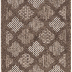 Nourison Easy Care NES01 Brown Area Rug