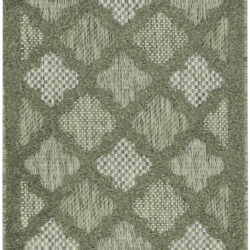 Nourison Easy Care NES01 Green Area Rug