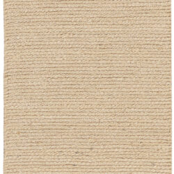 Nourison Natural Jute NJT01 Bleached Area Rug