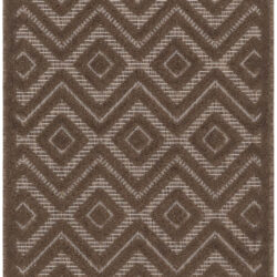 Nourison Versatile NRV01 Brown Area Rug