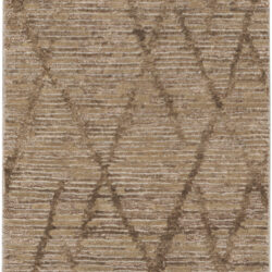 Nourison OCEAN OCP02 Saddle Area Rug
