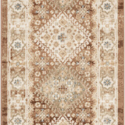 Nourison Pardis PRD04 Rust Area Rug