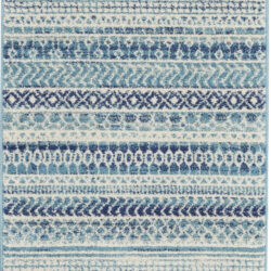 Nourison Passion PSN26 Navy Blue Area Rug