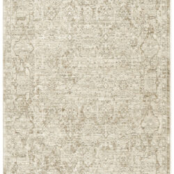 Nourison Shadows SHW04 Ivory Grey Area Rug