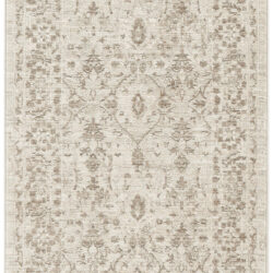 Nourison Shadows SHW05 Ivory Grey Area Rug
