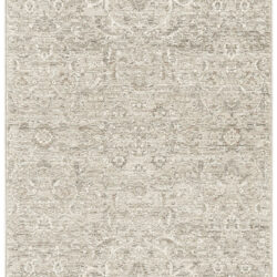 Nourison Shadows SHW06 Grey Area Rug