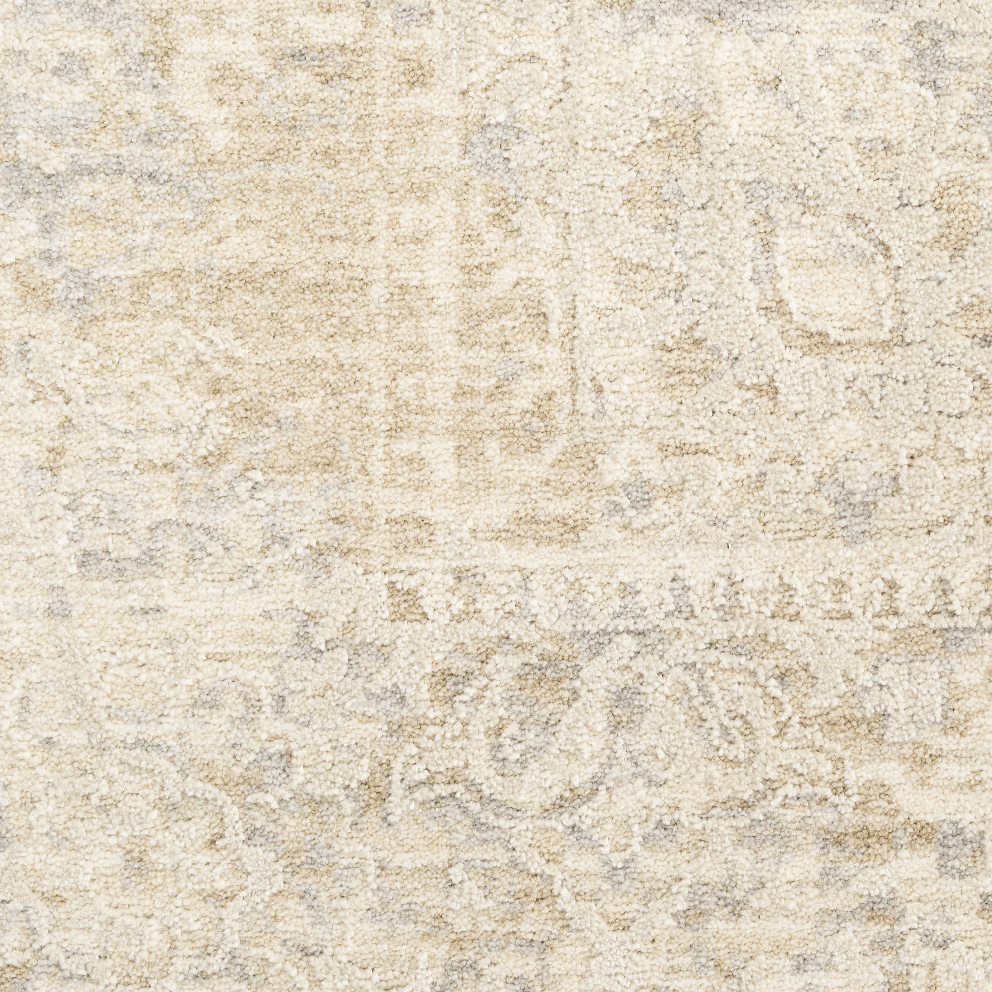 Nourison Sultana SLL01 Beige Area Rug - Image 4
