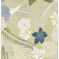 Nourison Suncoast SNC01 Green Blue Area Rug