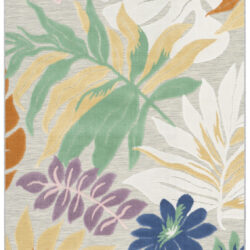 Nourison Suncoast SNC02 Multicolor Area Rug
