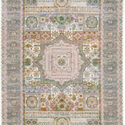Nourison Vintage Harmony VHH02 Multicolor Area Rug