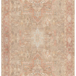 Nourison Vintage Washables VWS07 Coral Taupe Area Rug