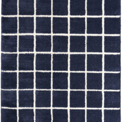 DKNY West End Ave WTE01 Navy Ivory Area Rug