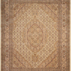 Nourison Nourison 2000 2240 Beige Area Rug