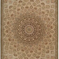 Nourison Nourison 2000 2262 Multicolor Area Rug