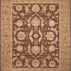Nourison Nourison 3000 3101 Brown Area Rug