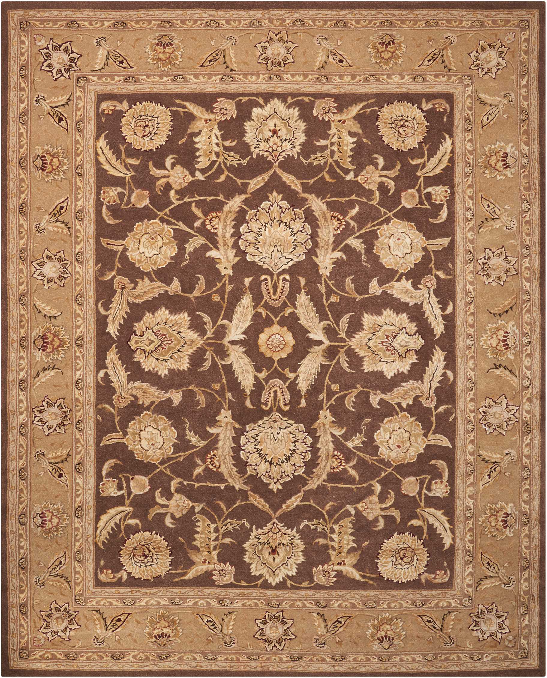 Nourison Nourison 3000 3101 Brown Area Rug
