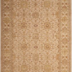 Nourison Nourison 3000 3103 Beige Area Rug