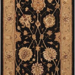 Nourison Nourison 3000 3105 Black Area Rug