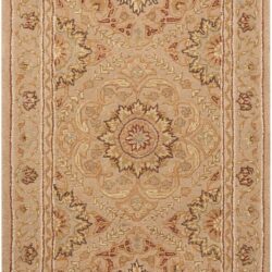 Nourison Nourison 3000 3108 Beige Area Rug