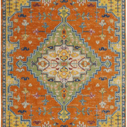 Nourison Allur ALR01 Orange Multicolor Area Rug