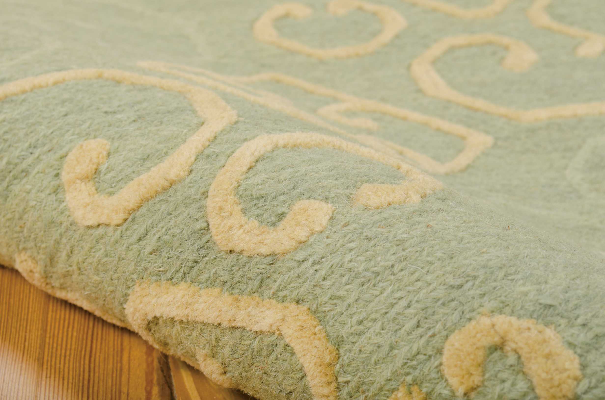 Nourison Ambrose AMB01 Light Green Area Rug - Image 2