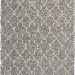 Nourison Amore AMOR2 Ash Area Rug