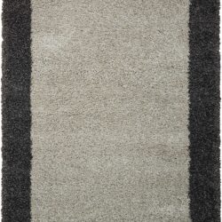 Nourison Amore AMOR5 Silver Charcoal Area Rug