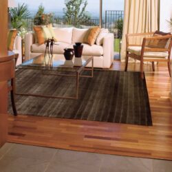 Alternative view of Nourison Aura AUR01 Chocolate Area Rug