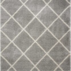 Nourison Brisbane BRI03 Ash Area Rug