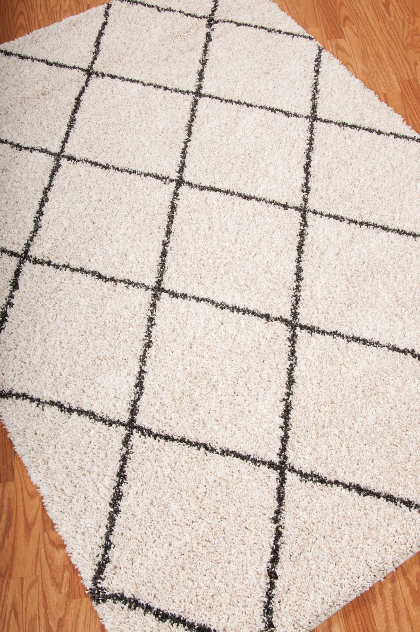 Nourison Brisbane BRI03 Ivory Charcoal Area Rug - Image 3