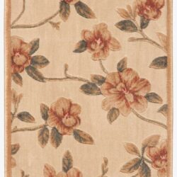 Nourison Cambridge CG08 Ivory Area Rug