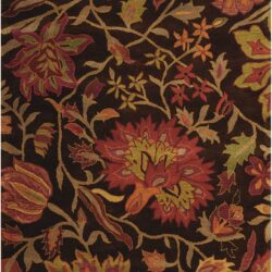 Nourison Jaipur JA41 Chocolate Area Rug
