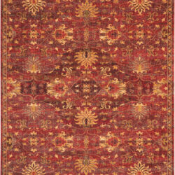 Nourison Jewel JEL02 Brick Area Rug