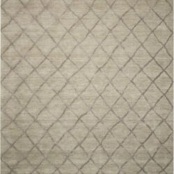 Nourison Lunette LNT01 Silver Area Rug