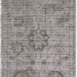 Nourison Luminance LUM06 Graphite Area Rug