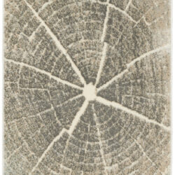 Nourison Marmara MRA06 Teal Grey Ivory Area Rug