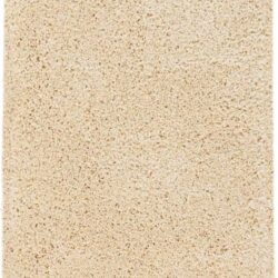 Nourison Malibu Shag MSG01 Cream Area Rug